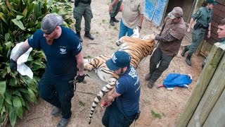 Dangerous Roadside Zoo Rescue [upl. by Juback]