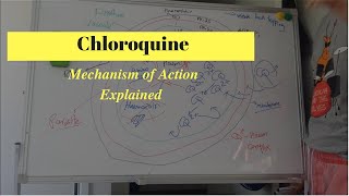 Antimalarial Drug Mechanism of Action  What is Chloroquine [upl. by Laurance144]