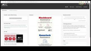 Blackboard Basics [upl. by Stillman149]