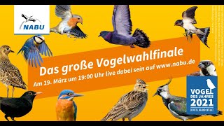 Das große NABUVogelwahlfinale [upl. by Rossner]