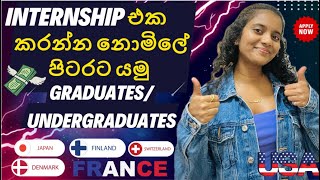 Free international internships for 2024  නොමිලේ Intern Abroad [upl. by Nadirehs96]