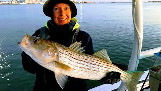 Fall Rockfish Have Arrived  October 31 2017  Fishing Ocean City Maryland [upl. by Ahseyd]