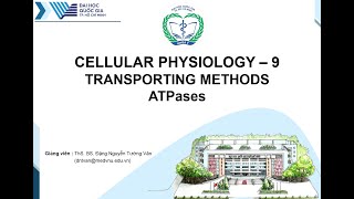Sinh lý tế bào  Phương thức vận chuyển qua màng  Bơm ATPase [upl. by Lorrin]