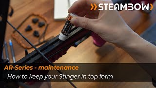 Maintenance of your AR6 Stinger II [upl. by Hokanson]