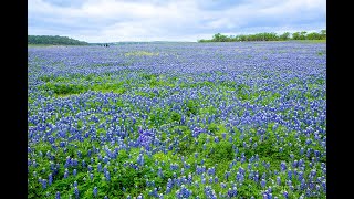 Muleshoe Bend Recreation Area [upl. by Luthanen]