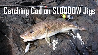 Lure Fishing  Catching Cod with Slow Jigs [upl. by Ajet263]