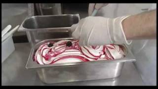 Produzione Gelati Artigianali  Gelato Modo [upl. by Euqinorev]