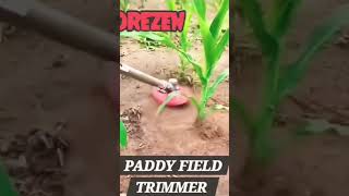 Grass Trimmer attachment for Brush Cutter brushcutter weeding [upl. by Trevlac]