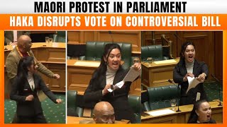 New Zealand MPs stage haka protest against Indigenous treaty bill in parliament  News9 [upl. by Ahsat159]