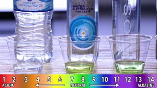 Are You Paying for Acidic Water  Bottled Water PH Test [upl. by Hulburt]