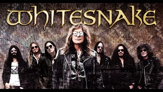 Whitesnake  Live Full Concert [upl. by Ellerud612]