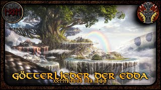 Götterlieder der Edda  Germanische Mythologie 94 [upl. by Ahsenar]