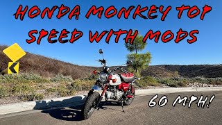 Honda Monkey Top Speed with New Mods [upl. by Ellehcer]