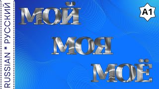 Grammar Possessive pronouns  Грамматика Притяжательные местоимения [upl. by Meris]