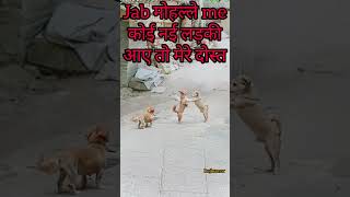 जब गली में कोई नई लड़की  jab gali me ladki shorts viral shortsfeed trending [upl. by Dellora525]