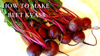 HOW TO MAKE BEET KVASS [upl. by Crompton]