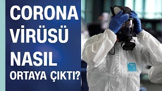 Çindeki Corona Korona virüsü nasıl ortaya çıktı İnsanlara gerçekten yarasadan mı bulaştı [upl. by Katzen]