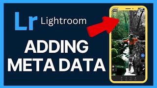 How to Add Meta Data in Lightroom 2024 [upl. by Ramgad]