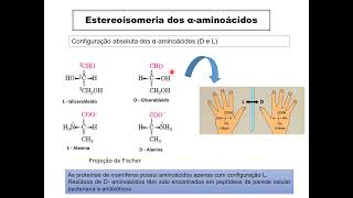 10 Química de Aminoácidos e proteínas [upl. by Isaiah79]