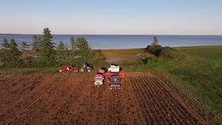 PEI Digging Potatoes 2023 [upl. by Bates354]