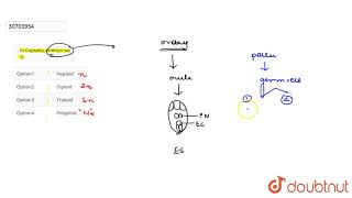 In Capsella embryo sac is  12  NO IDEA  BIOLOGY  DINESH PUBLICATION  Doubtnut [upl. by Gilles303]