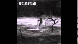 Burzum  Burzum Full Album1992 [upl. by Nosyrb]