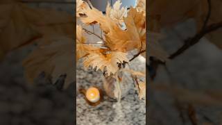 Here’s some clips of my kitchen but I decorate my living room too in this fall video too 🤗🍂 [upl. by Ordnazil]