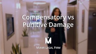 Compensatory vs Punitive Damage [upl. by Alekal]