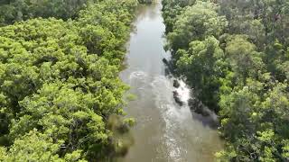 Tingalpa Creek A different view [upl. by Bolen]