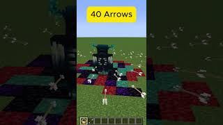 Warden VS Arrows Minecraft experiment [upl. by Gottuard764]