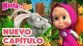 Masha y el Oso 💥 Nuevo capítulo 🍁🎵🍄 La Lluvia de Setas 🎬 Сolección [upl. by Ehgit560]