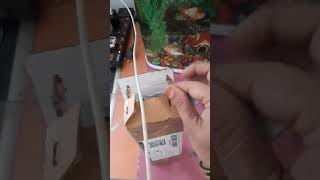 unboxing virL door socket curtain shocked combo pack only 97httpswwwyoutubecomBuskam8241 [upl. by Gilbert731]