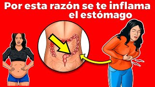 ¿Por qué tengo el estomago inflamado 15 causas tratamiento y cuando ir al doctor [upl. by Iggam790]