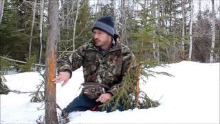 Whitetail Deer Shed Hunt Adventurewmv [upl. by Abercromby218]