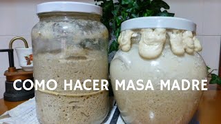 Como hacer masa madre  Receta casera para hacer pan en casa [upl. by Atenik]