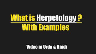 What is Herpetology with examples Urdu  Hindi [upl. by Eilsek]