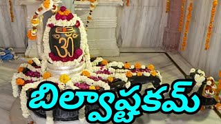 Lord Shiva Devotional Song Bilvashtakam with Telugu Lyrics [upl. by Eelitan]