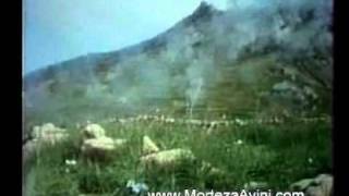 Iran amp Iraq war real footage from Iranian side [upl. by Giesser]