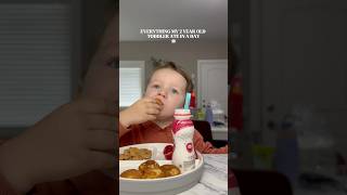 Everything My 2 Year Old Toddler Ate In A Day🍪 toddler toddlermeals toddlerfood shorts momlife [upl. by Collin]