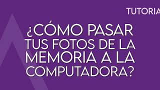 ¿Cómo pasar tus fotos de la memoria SD a la computadora [upl. by Canty]