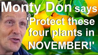 Monty Don says Winter Cold Protect these Four Plants in November [upl. by Kciremed680]