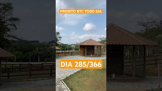 PROJETO BITCOIN TODO DIA 285366 BTCTodoDia Investimentos Altcoins Criptomoedas Dolar [upl. by Rachel]