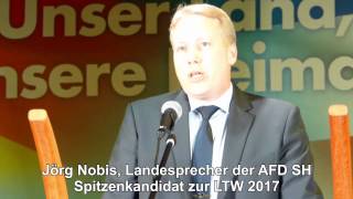 AFD SH Jörg Nobis Spitzenkandidat zur Landtagswahl 2017 [upl. by Zorina741]