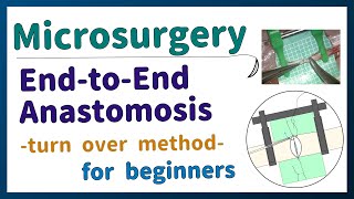 How To Suture  microsurgery endtoend anastomosis [upl. by Anirad]