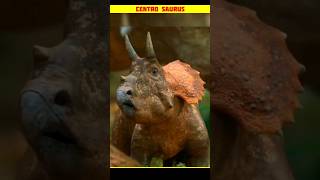 Centro Saurus  factsinhindi amazingfacts factsdaily [upl. by Kennie]