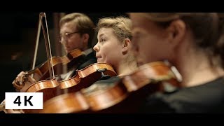 Johann Strauss  KaiserWalzer  Music for 12 Violas by Deutschen Stiftung Musikleben [upl. by Crichton459]