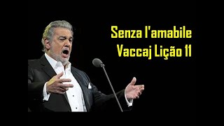 AULA DE CANTO LÍRICO Técnica Vocal Ópera Vaccai NICOLA VACCAJ Lição 11 Senza lamabile [upl. by Eimia]