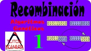 🔬Recombinación en Algoritmos Genéticos [upl. by Cnut]