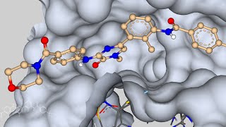 webinar recording Brutons Tyrosine Kinase inhibitors two strategies showcased in SeeSAR [upl. by Yamauchi40]