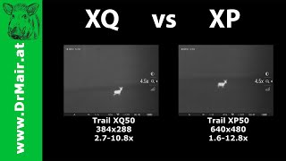 XQ50 vs XP50  was Auflösung tatsächlich bewirkt [upl. by Ahsemot847]